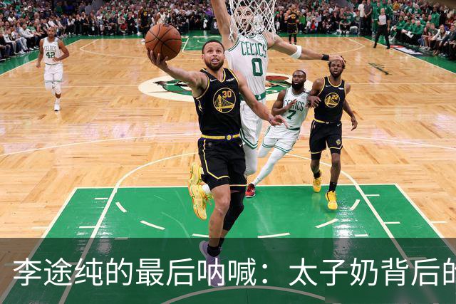李途纯的最后呐喊：太子奶背后的黑手与冤屈